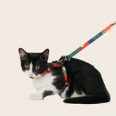 Cat Leash